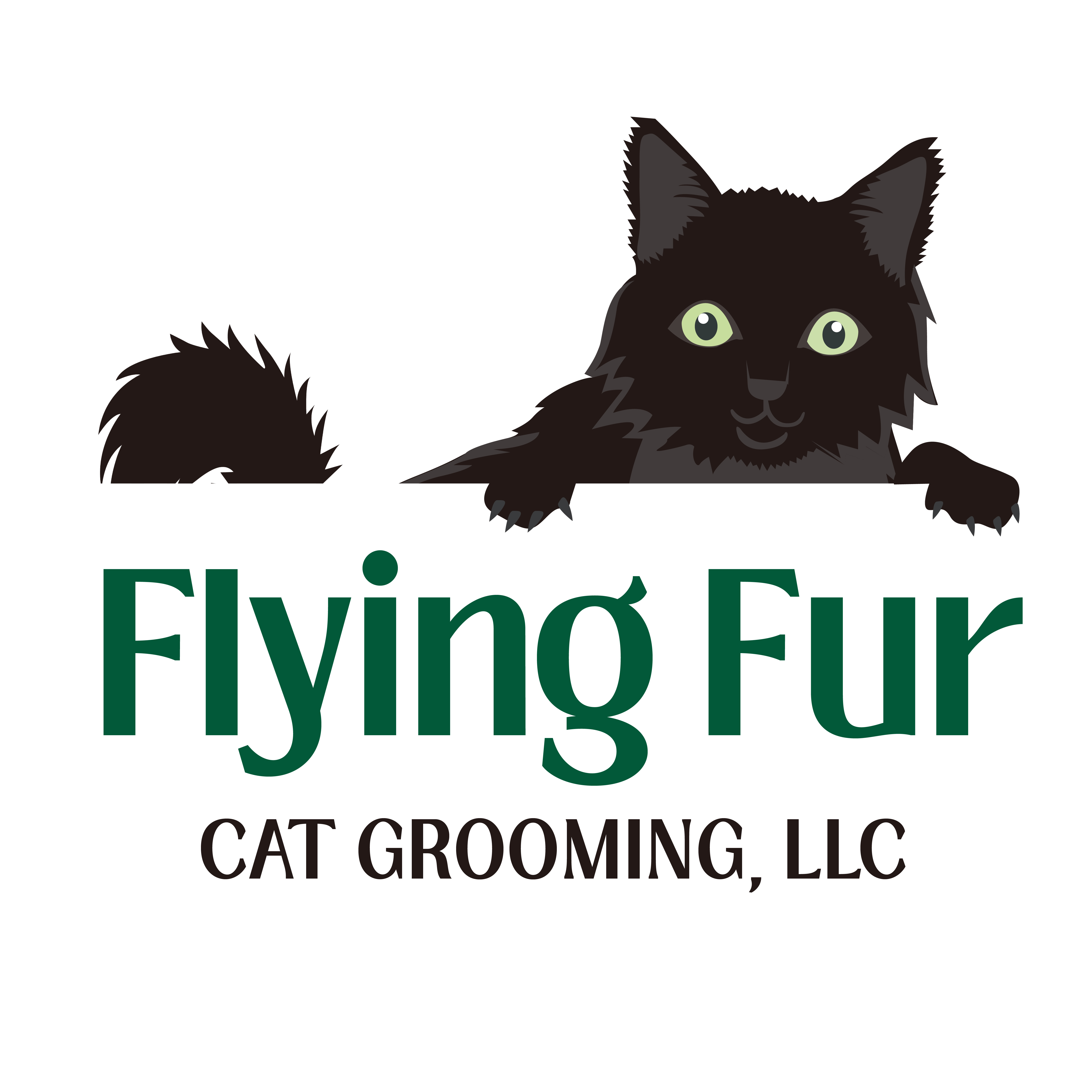 Flying Fur Cat Grooming
